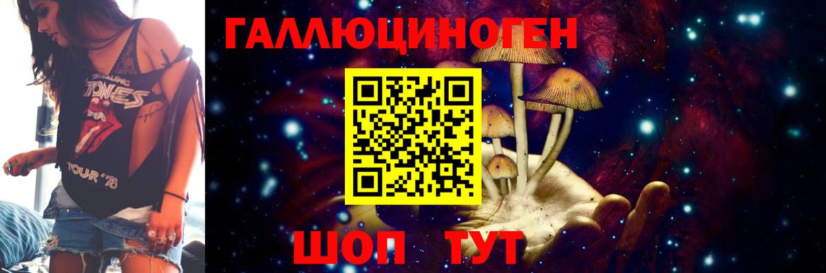 где найти наркотики  Галлюциногенные грибы прущие грибы  Вход с VPN  Елабуга 